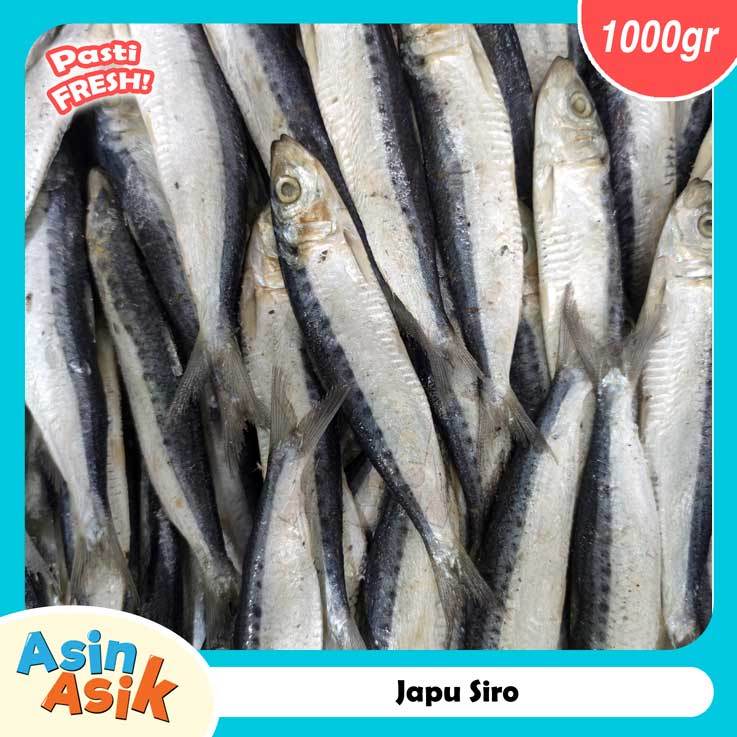 

Ikan Asin Japu Siro Premium Kualitas Super Segar Fresh 1kg