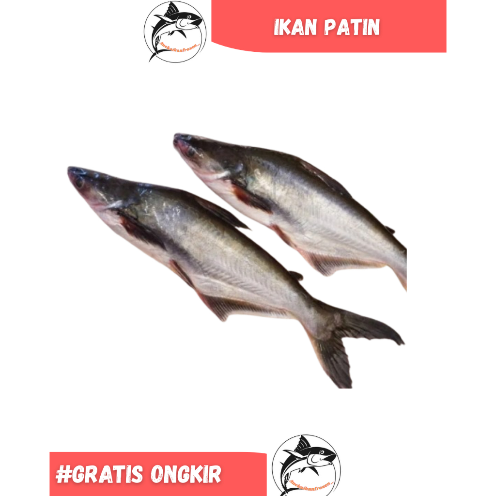 

Ikan Patin Segar besar 1kg seafood Frozen