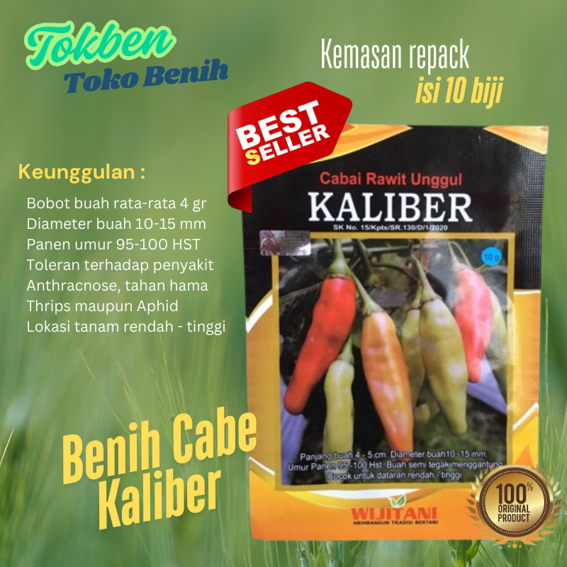 10 Benih Cabe Kaliber Repack Original Wijitani