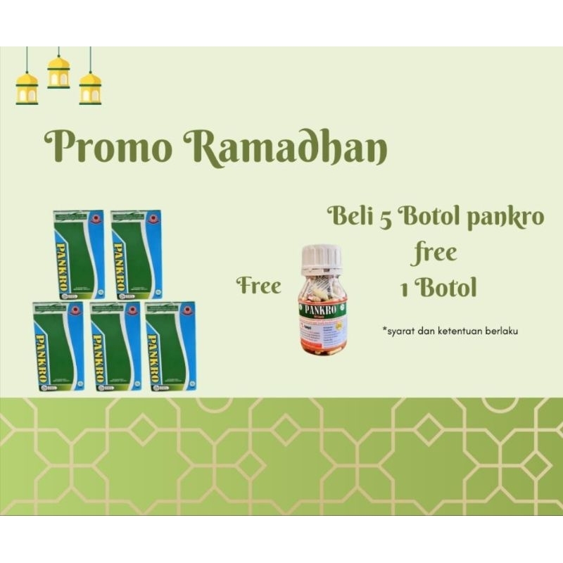 

Pankro Promo Ramadhan Buy 5 Get 6