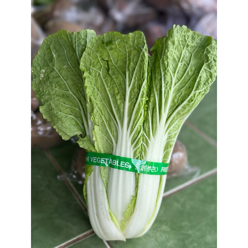 

SAWI PUTIH / SAWI HIJAU