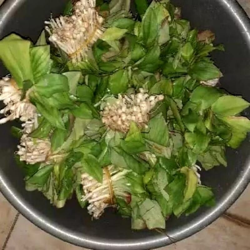 

Ready daun kencur segar 500gr Ter murah