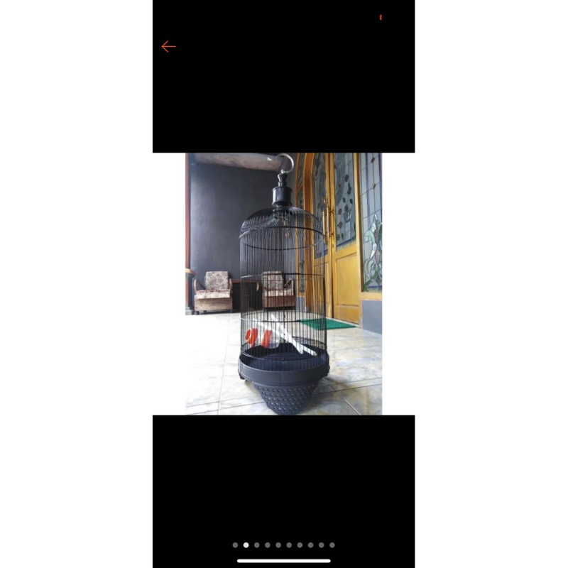 GROSIR SANGKAR LOVEBIRD MOTIF HITAM ISI 10