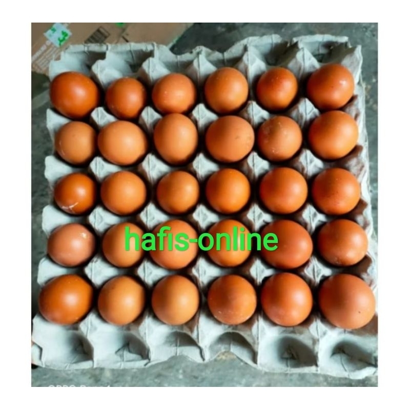 

Telur ayam negeri fresh 1 tray 30 butir