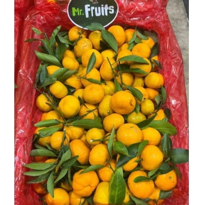 

Buah Jeruk Santang Daun Mashui Mr.Fruit Jual Per 1 BOK Krat