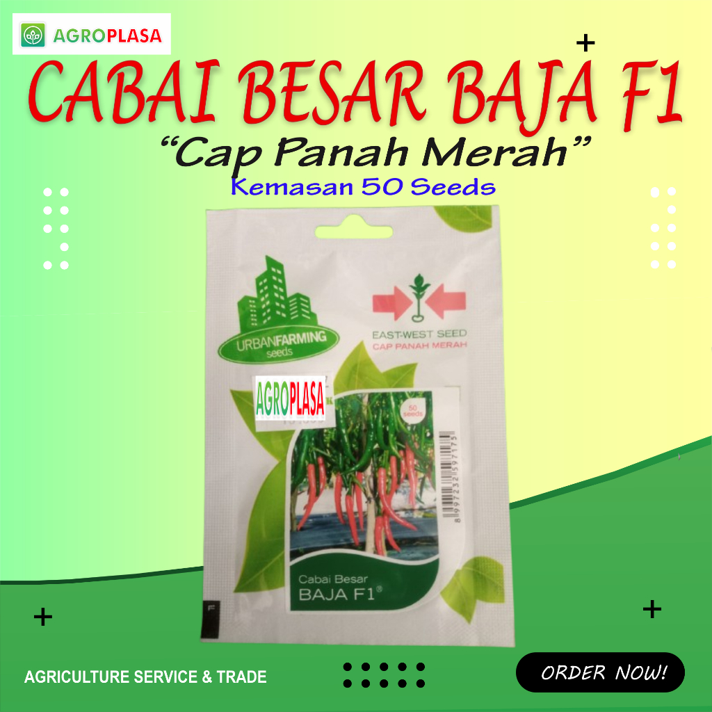 Benih Cabai Besar BAJA F1 Cap Panah Merah Kemasan 50 seeds