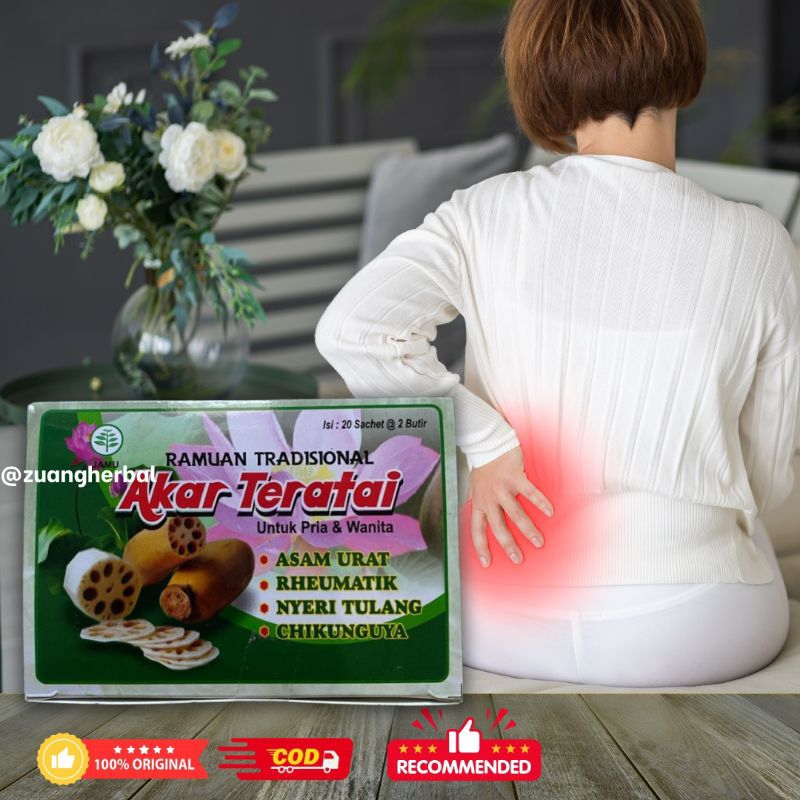 Akar Teratai obat asam urat reumatik pegal linu
