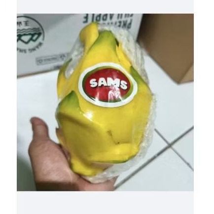 

Buah naga kuning lokal super dragon yellow lokal 1 kg