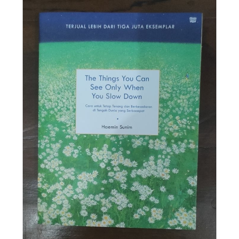 The Things You Can See Only When You Slow Down [PRELOVED]