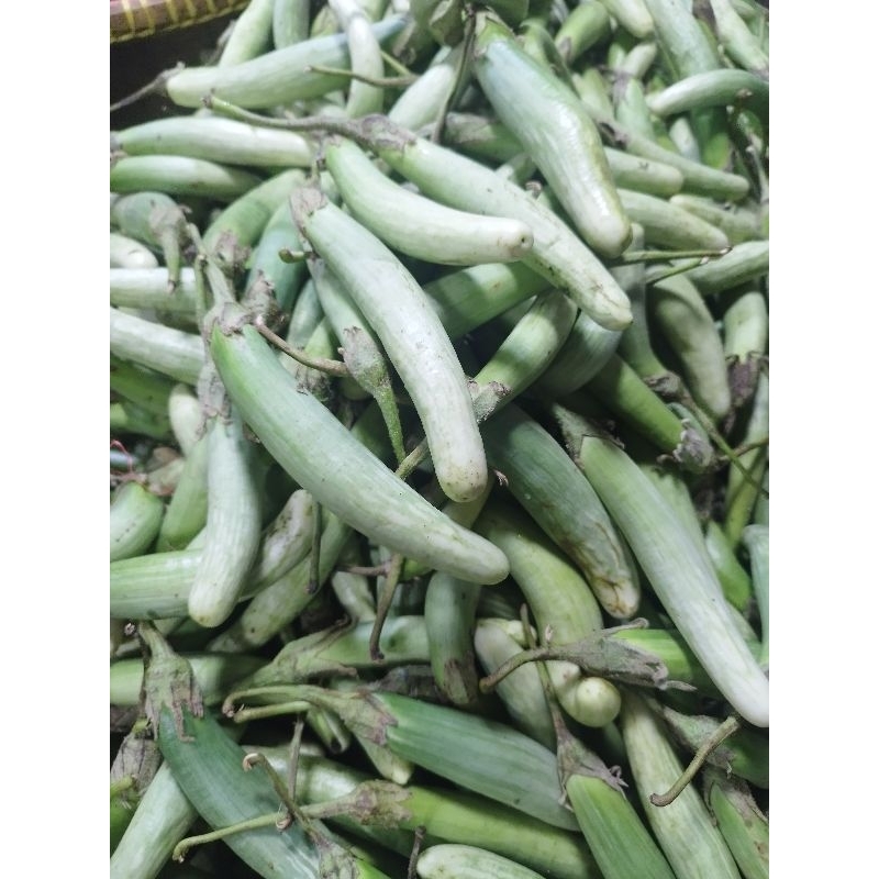 

Terong Telunjuk/Tauco 1kg