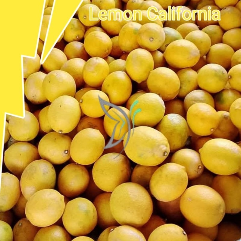 

lemon California 3 kilo gram super segar vitamin