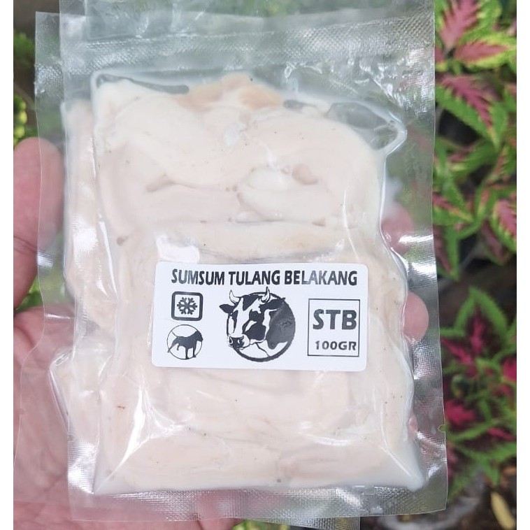 Cow Spinal Cord / Sumsum Tulang Belakang Olor Sapi – Dog Cat Raw Food Snack Makanan Anjing Kucing