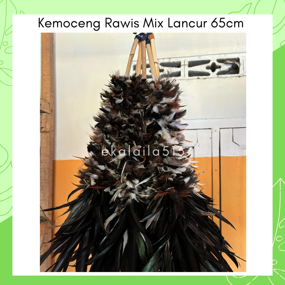 KEMOCENG BULU AYAM LANCUR KOMBINASI JAGO PANJANG 65 CM SULAK PEMBERSIH DEBU MOBIL ANTI GORES MURAH