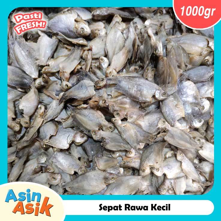 

Ikan Asin Sepat Rawa Kecil Premium Kualitas Super Bagus 1Kg