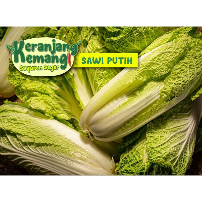 

Sawi Putih Segar
