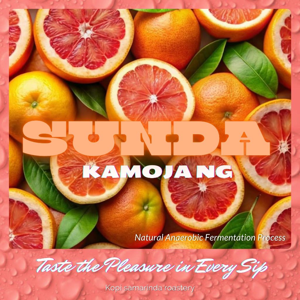 

Biji Kopi Manual Brew Sunda Kamojang Natural Anaerobic 200g | Kopi Samarinda