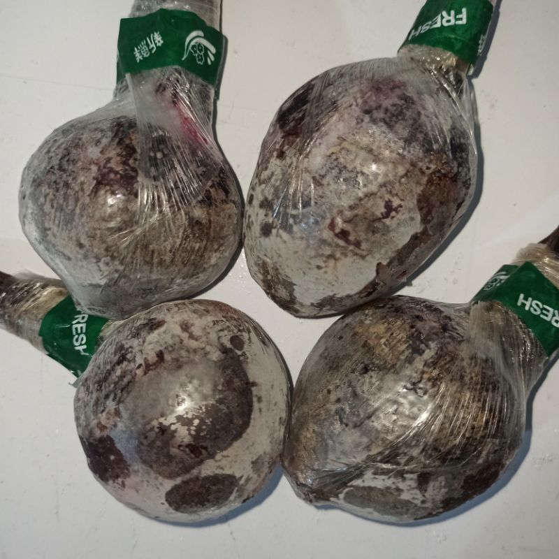 

Buah Bit Beet Beetroot FROZEN Stok Penghabisan • 500 gr