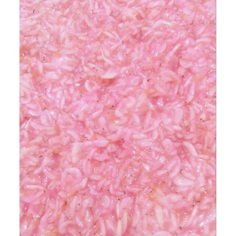 

Hekoi/pedak Udang/Hakoi/Cincalok Udang Fresh Asli Pontianak 1kg