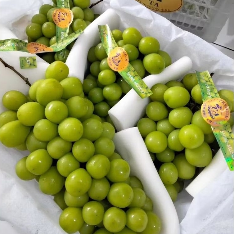 

Anggur Muscat Hijau Kantong [ 1 Krat isi 6.5Kg ] Fresh Import IgnacioBox