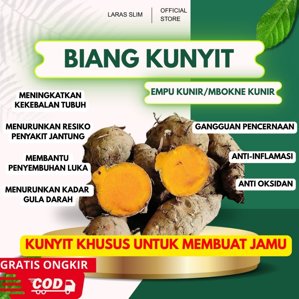 

EMPU KUNIR - MBOKNE KUNIR / BIANG KUNYIT KUALITAS PREMIUM 1 KG | TEMU KUNIR KUNING | EMPU KUNYIT | KUNIR KUNING BIANG | KONER KONENG | KUNIR KONENG | KUNYIT KUNING SEGAR