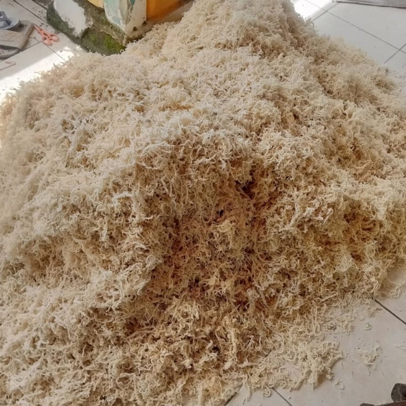 

Rumput laut kering normal super premium original - kemasan 1KG