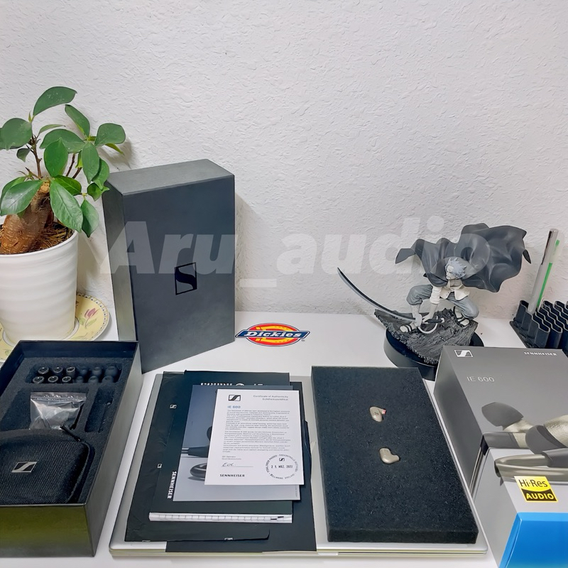 IEM Sennheiser ie600