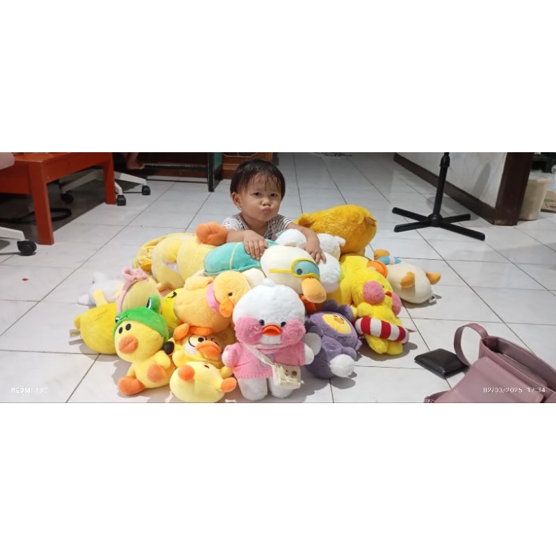 Co link boneka 15 - 50 + adm 1KG