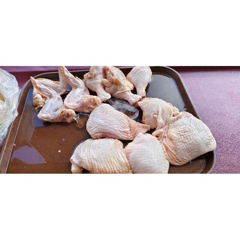 

Ayam Broiler / Fillet Dada / Fillet Paha