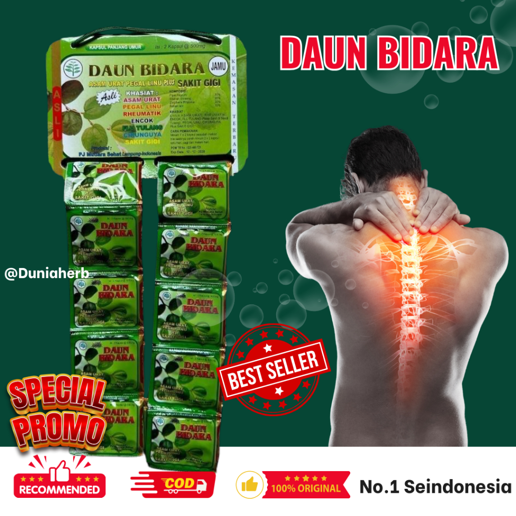 

Daun Bidara Kapsul Renceng Original