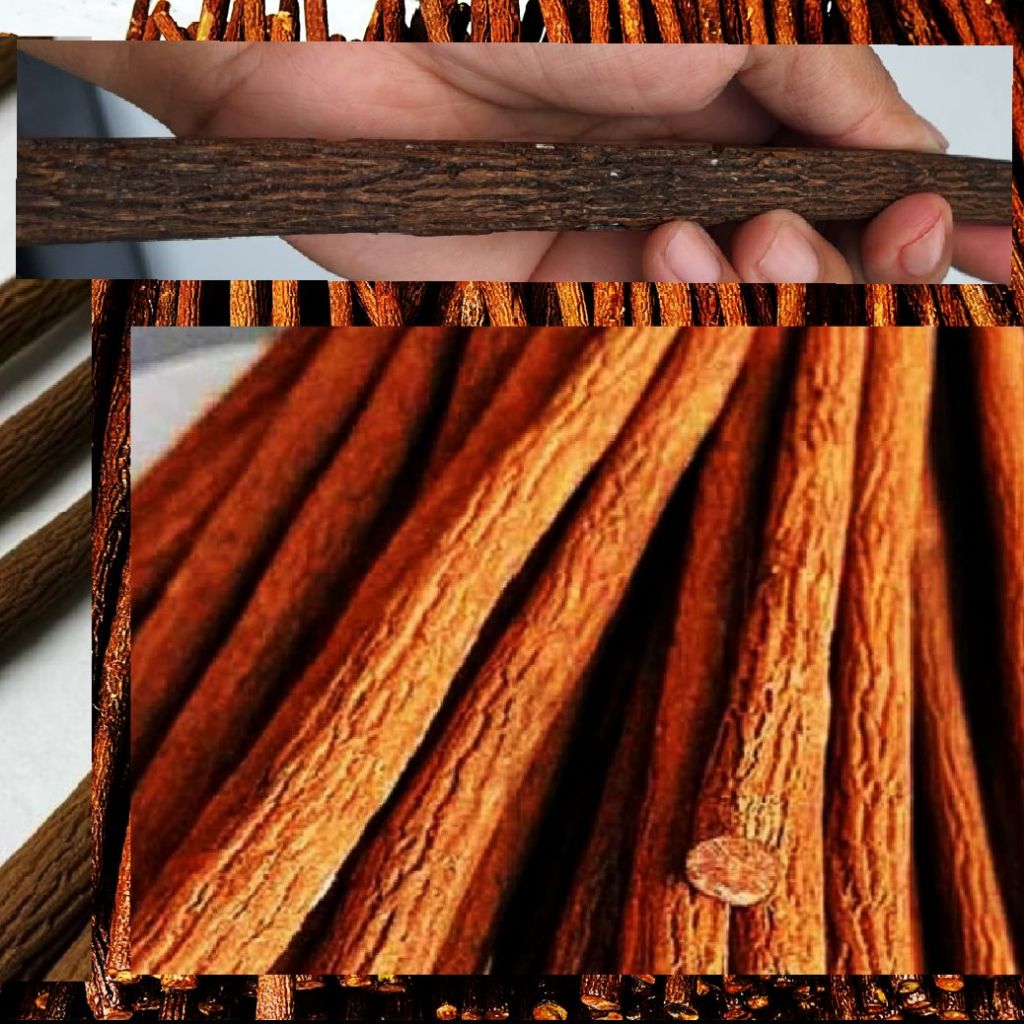 Tangkringan Asem Jawa Super Pangkringan Kayu Asem Jawa Super Grade A Sangkar Burung