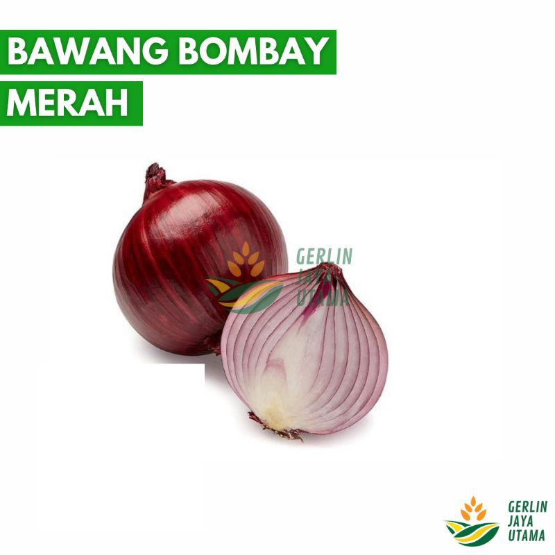 

(1Kg/500Gram/250Gram) Bawang Bombay Merah India