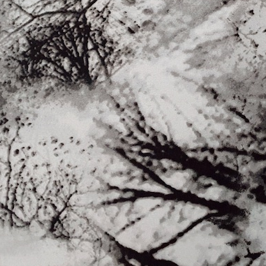 Stretch Tulle Motif Foggy Tree Monochrome