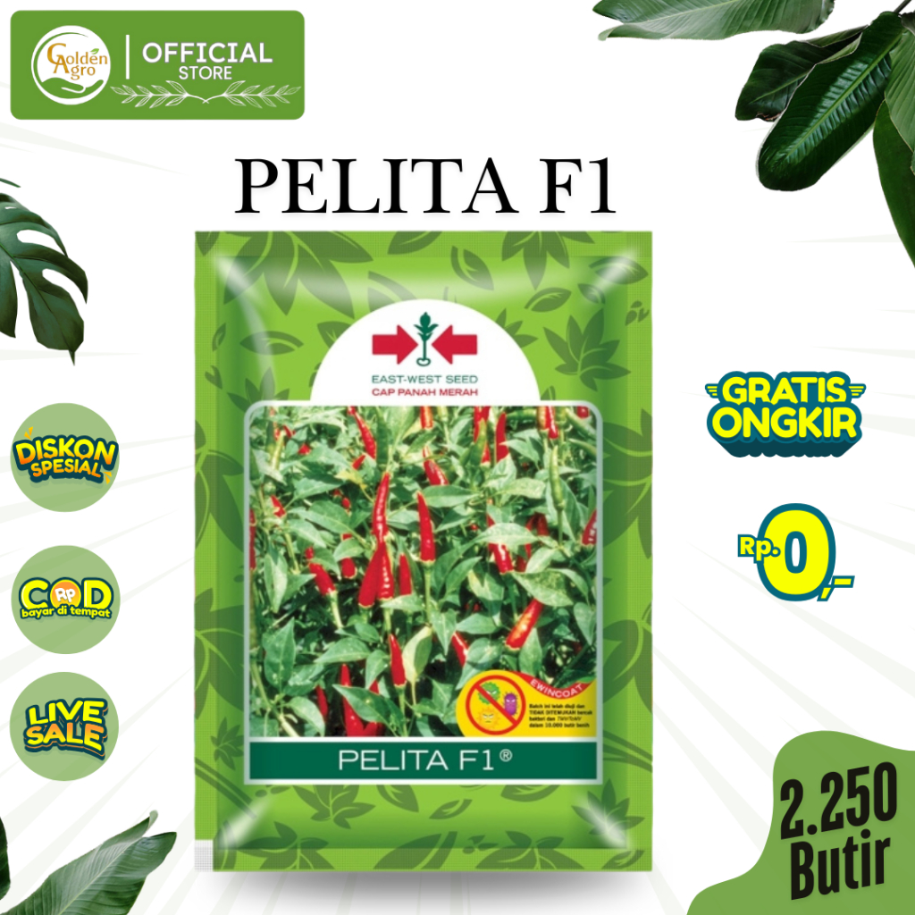 BENIH BIBIT CABAI CABE PELITA F1 2250BUTIR BUTIR RAWIT TAJI