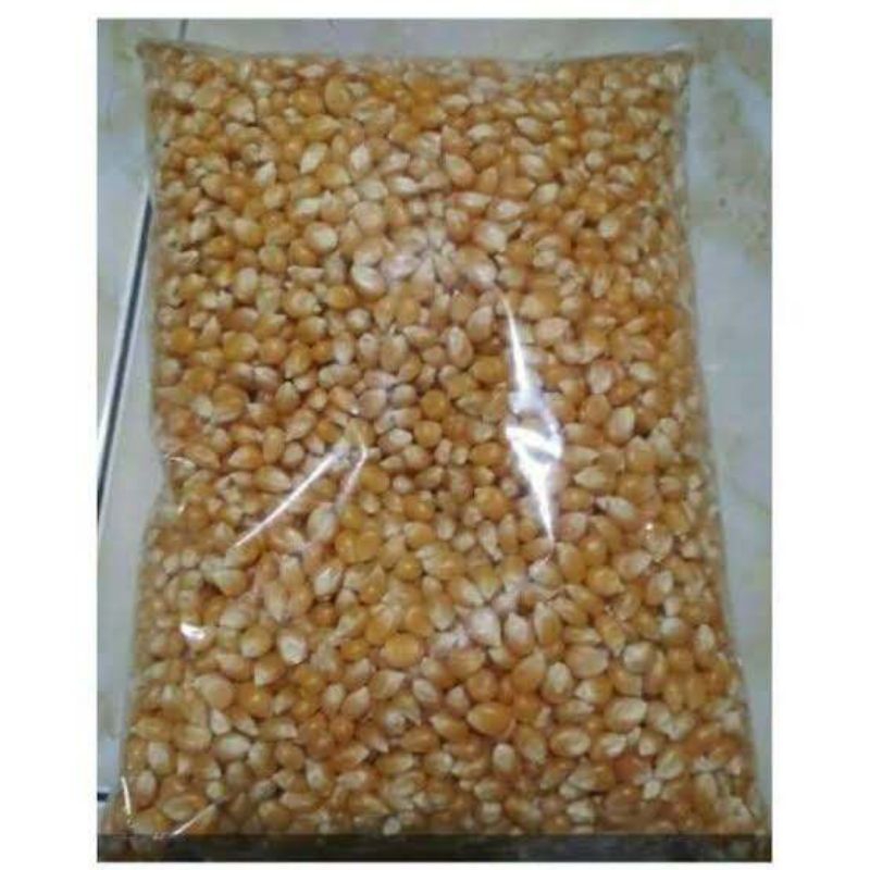 

popcorn pangan jagung mentah 1 kg merk bintang kualitas super ...
