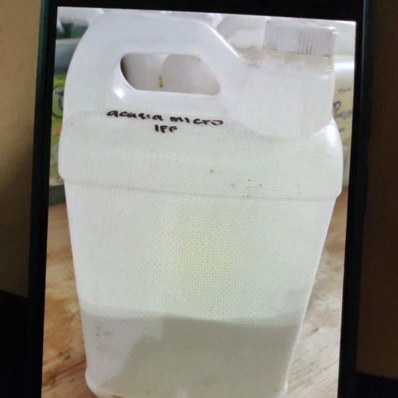 Bibit Parfum Laundry Acasia Microcapsule IFF 1 liter