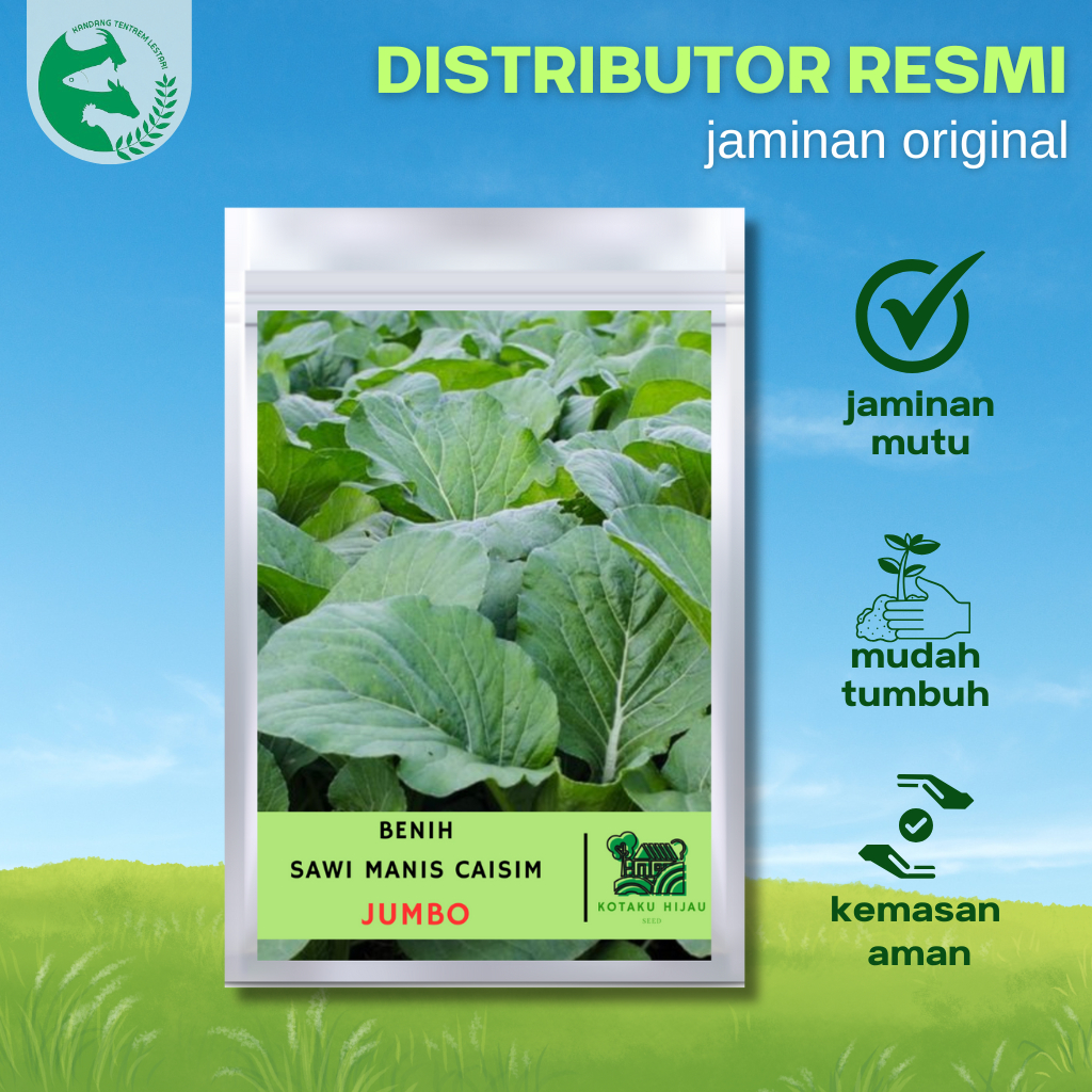 Benih Caisim Sawi Manis Jumbo 100 gram Kotaku Hijau Lebat Panen Melimpah Hidroponik atau Kebun