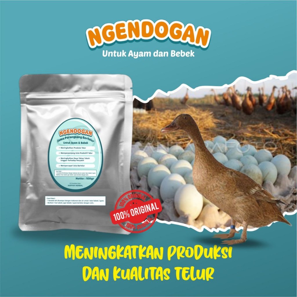 Ngendogan Vitamin Ayam Petelur Doc Betina Meningkatkan Ecer Ternak Pemacu Nelur Stimulant Bertelur