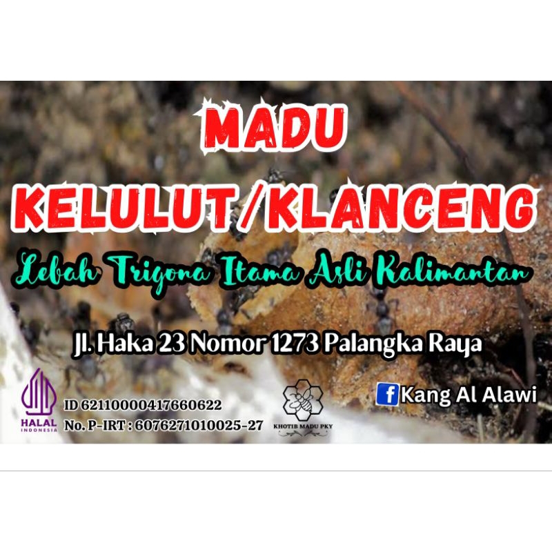 

Madu Kelulut atau Klanceng