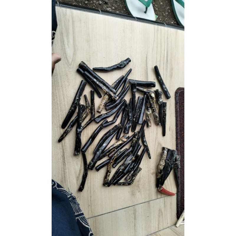 once akar Bahar hitam super natural