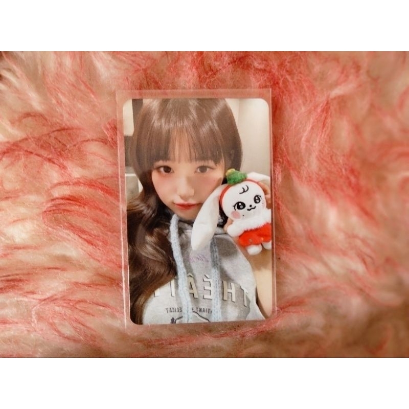 (read desk) photocard official Wonyoung christmas edition minive