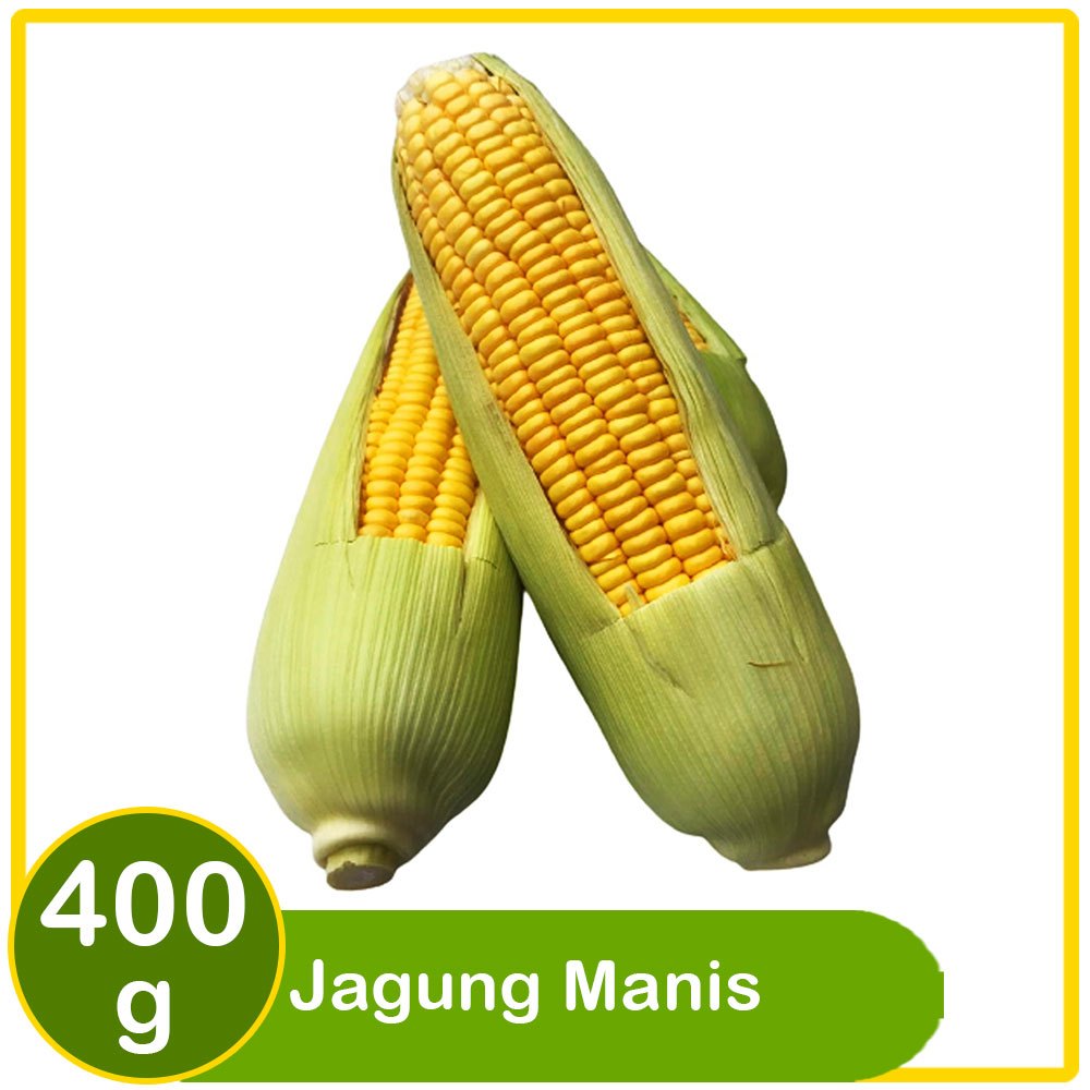

Jagung Manis dengan Kulit 400g – Segar, Manis, dan Bergizi
