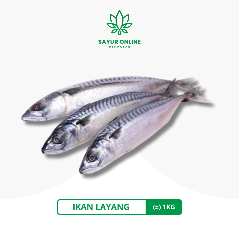 

Ikan Layang Fresh 1KG - Sayur Online Denpasar