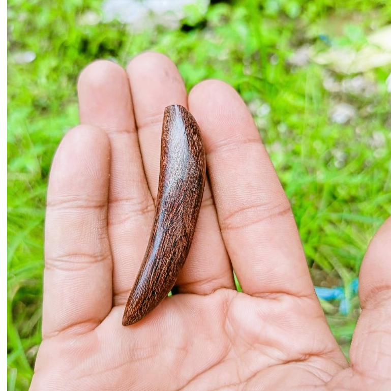 Liontin kalung kayu galih asem original