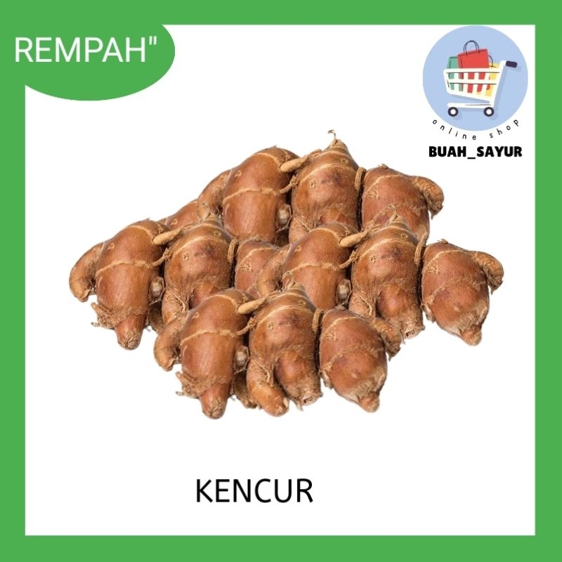 

kencur/100gr