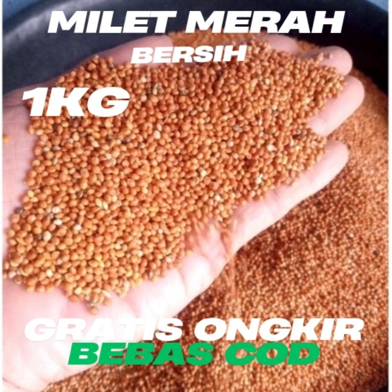 MILET MERAH 1KG BERSIH - PAKAN BURUNG BERKUALITAS