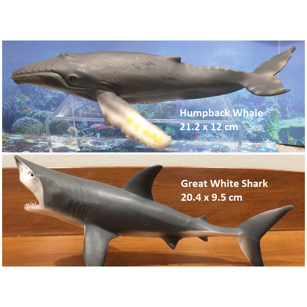 Figure Mainan Miniatur Ikan Paus Great White Hiu Putih Shark Megalodon Humpback Whale Collecta