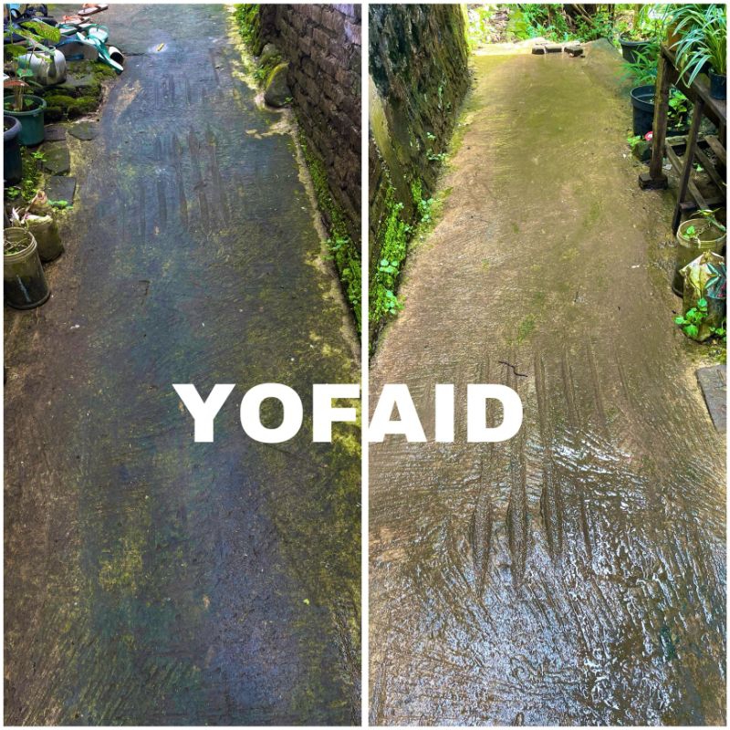 Pembasmi lumut paving, tembok