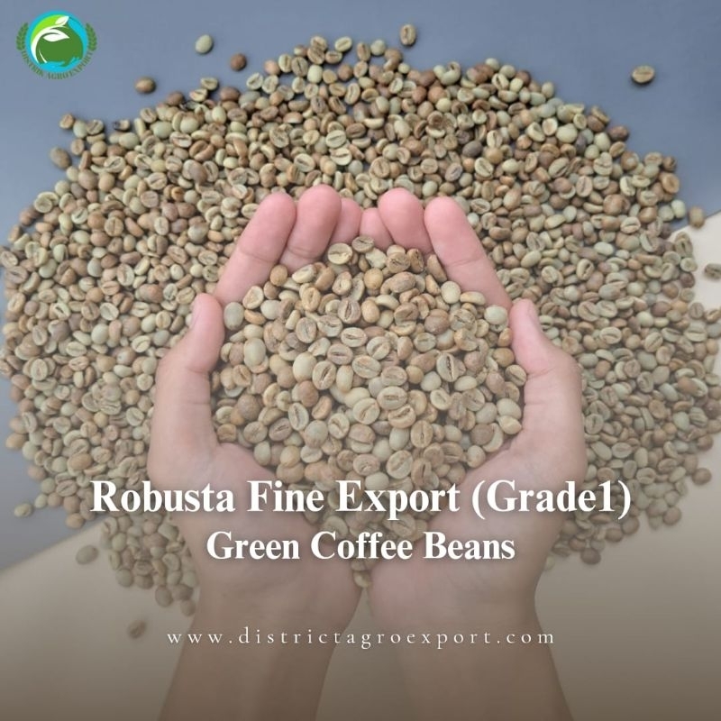 

Robusta Grade 1 Fine Export - Green Coffee Beans