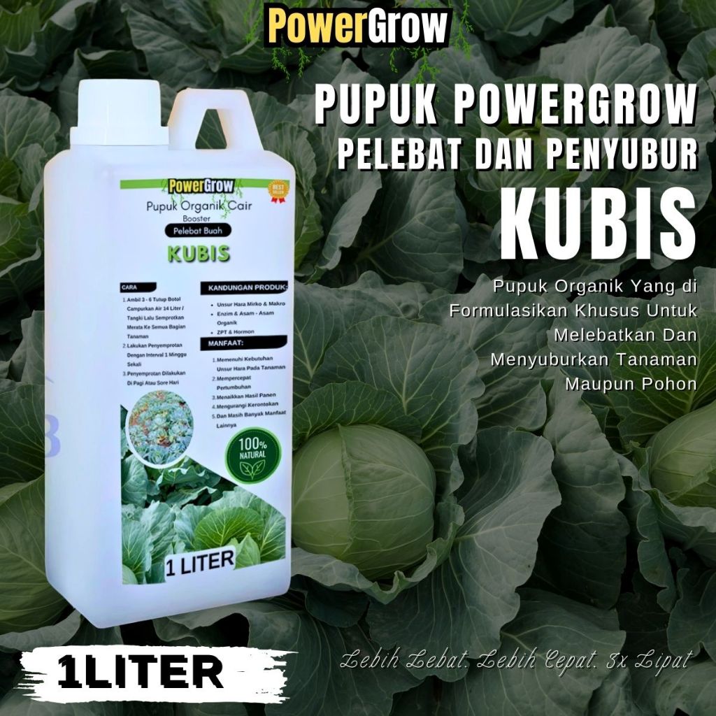 Pupuk Kubis Pembesar Bonggol Kubis Booster Kubis Penyubur Pembesar Kubis  Pemacu Pertumbuhan Kubis