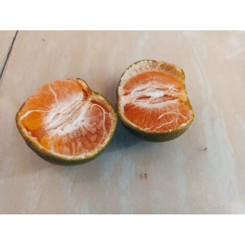 

Jerum Siem Madu Jember